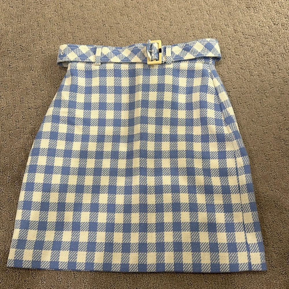 Ann Taylor blue and white skirt